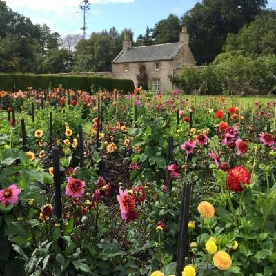 英雄联盟外围押注官网