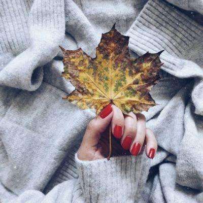 bob·体育综合app手机app下载