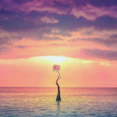 bet体育365官网正规app下载