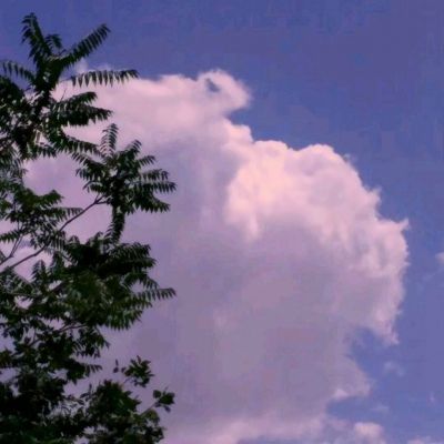 开元ky888vip手机app下载